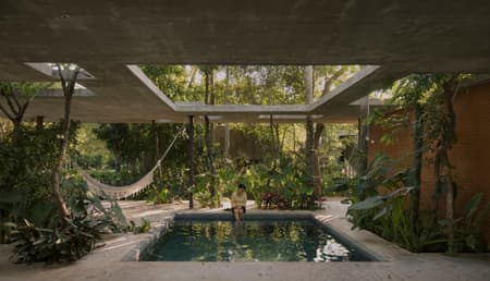 A Forest in the House